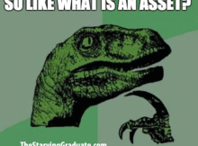 what_is_an_asset