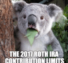 2017 Roth IRA Contribution Limits